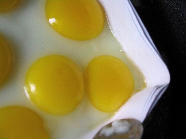  egg17md9.jpg