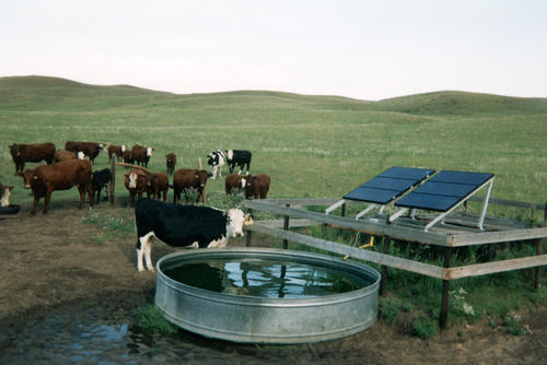 solar_livestock_watering.jpg